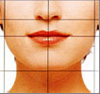 正しい顎の位置（顔正面）